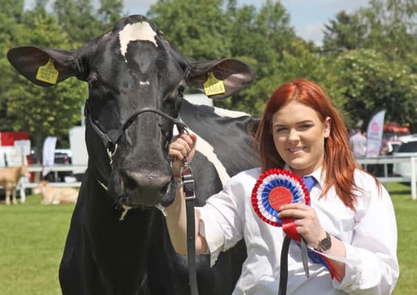 Ellie McLean from Bushmills exhibited the Holstein and supreme overall dairy champion Priestland Shot J Rose, at the 179th Omagh Show