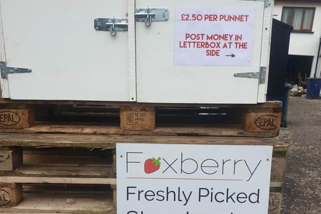 Honesty Box at Foxberry Farm