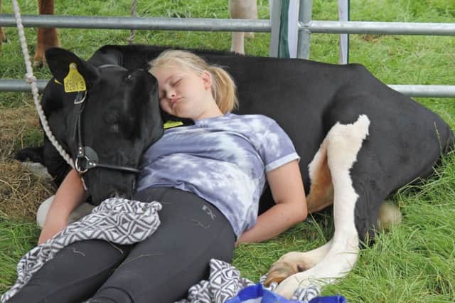 Antrim Show proved exhausting for Anna Steele from Glenavy. Picture: Julie Hazelton