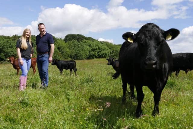 Alan and Sophie Laughlin with their Dexter cattle at Castle Ward.