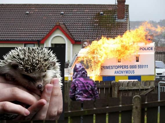 A petrol bomb is hurled at a P.S.N.I. vehicle in Creggan in 2018. Inset: a hedgehog (File Image).