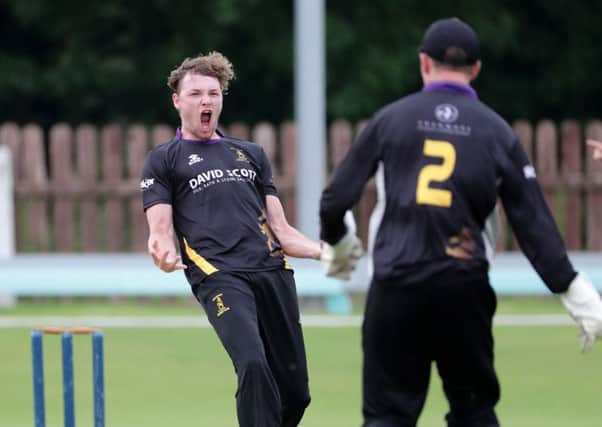 Josh Manley celebrates taking a wicket during a Challenge Cup match for Instonians against Waringstown last summer. David Maginnis/Pacemaker Press