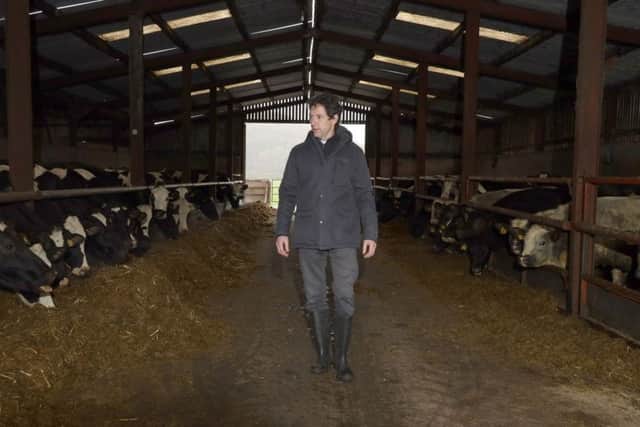 PACEMAKER PRESS BELFAST
28/2/2020
Reverend Andrew Rawding, photographed today at a farm near Coalisland.
Photo Laura Davison/Pacemaker Press
