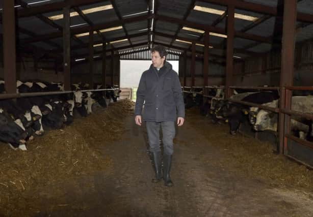 PACEMAKER PRESS BELFAST
28/2/2020
Reverend Andrew Rawding, photographed today at a farm near Coalisland. 
Photo Laura Davison/Pacemaker Press