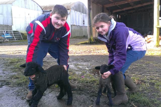 William Stewart (12) from Lower Ballyboley Road, Ballyclare with his 'monster' tup lamb Herman, and Amy Magee (9) with a regular sized lamb.