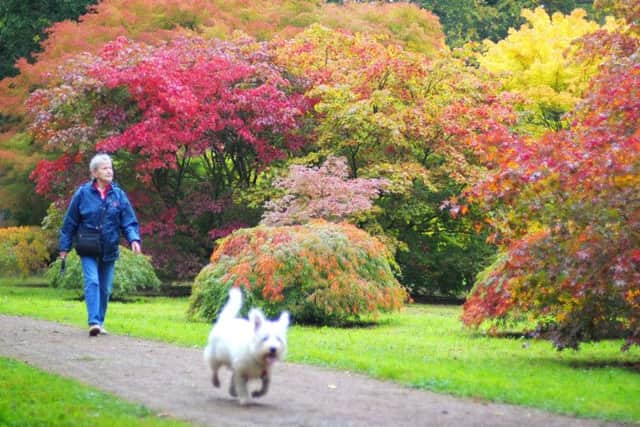 Autumn