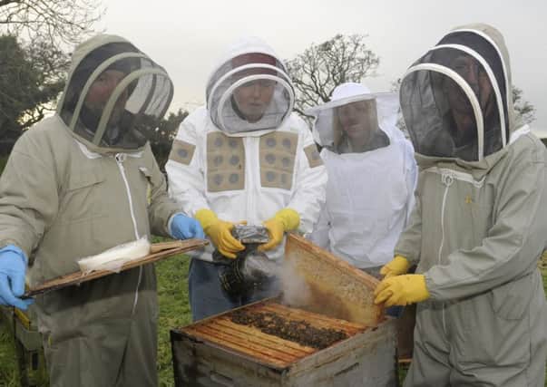 Dromore Beekeepers Robert McCreery, Jim Fullerton and Patrick Lundy were joined at Dromore Apiary by Laura McMullan Â©Edward Byrne Photography INNL1603