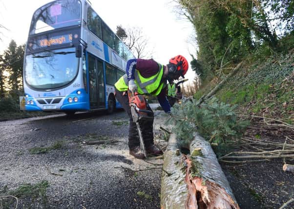 Work being done to clear roads of fallen trees on Friday morning