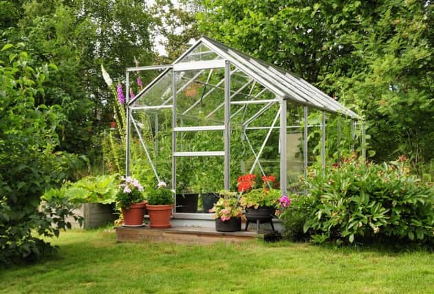 A gleaming greenhouse