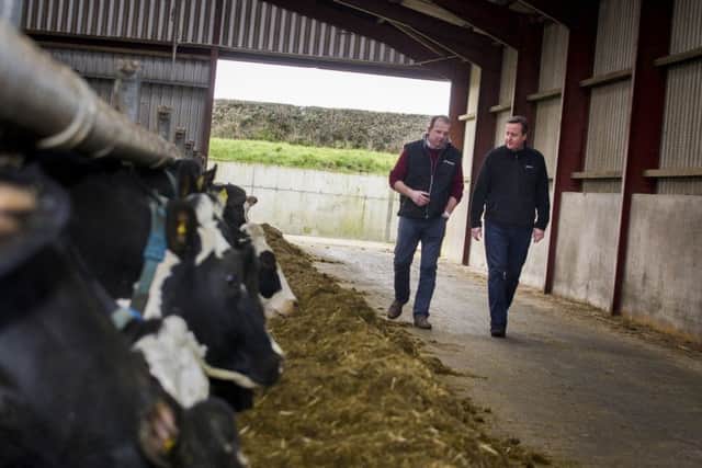 Harold Johnston (left), owner of Ballybollan House, Ahoghill, Co. Antrim, shows Prime Minster David Cameron around his farm, as he continues a tour of the UK setting out the case for staying in the European Union. Photo: Liam McBurney/PA Wire