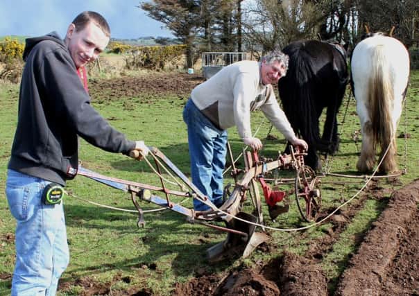 Sean Cassley from Armoy putting in a bit of practice for this years St. Patricks Day Horse Ploughing match at Ballycastle, getting assistance here from his dad Gerard, who will also be ploughing on the day as well.