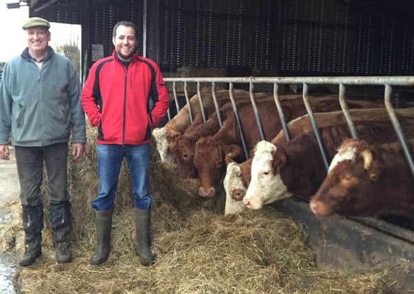 David and Kenneth McKinstry of Magherafelt host an AgriSearch farm walk on Wed, March 23 from 1pm. An opportunity to discuss how suckler herd performance can be enhanced cost effectively.
