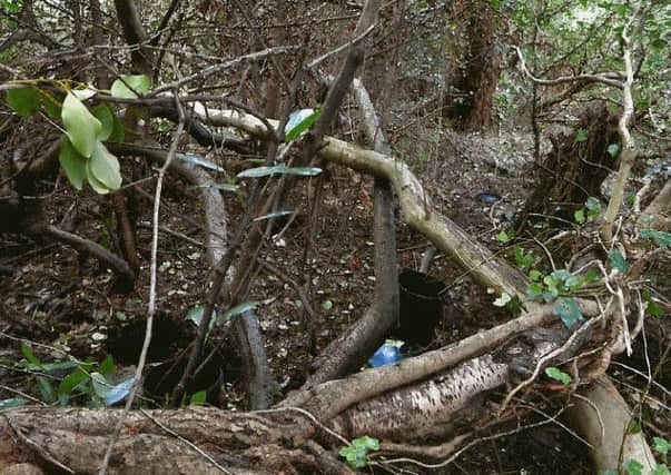 The plastic barrels containing bomb-making components and explosives which were found buried at Carnfunnock Country Park