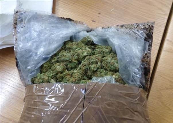 Cannabis uncovered by police in north Belfast