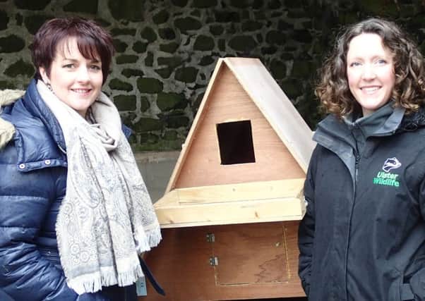 Pam Cameron MLA joins Catherine Fegan from Ulster Wildlife to discuss plans to protect the barn owl, one of Northern Irelands most endangered birds, after signing up to become a Species Champion for the barn owl in her constituency