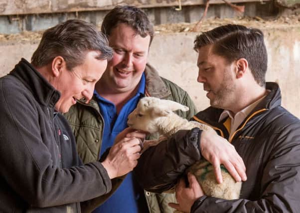 Prime Minister David Cameron with farm owner Richard Williams strokes a Welsh lamb held by Welsh Secretary Stephen Crabb during a visit to Tyfos Farm in Denbighshire