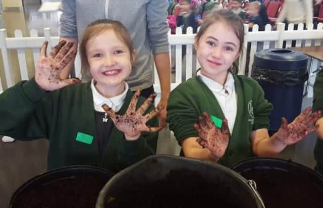 Pupils from Woodston Primary School get their hands dirty planting potatoes