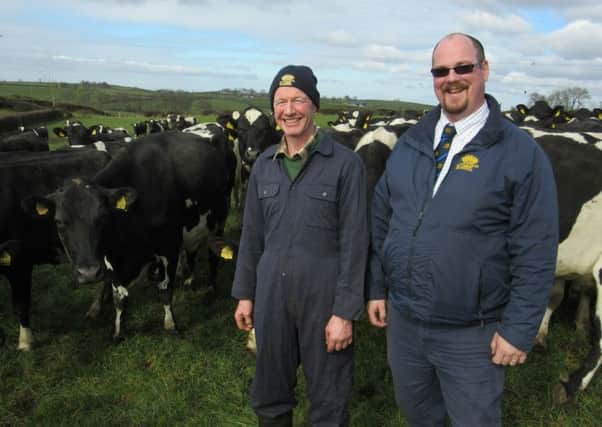 British Grassland Farmer of the Year, Colin Boggs, checking out his grazing paddocks with Michael Copeland from McLarnon Feeds.  Colin turned his cows out on 13th March to paddocks reseeded with McLarnons Maxi-Sward mixture.