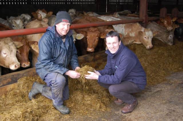Provita's Tommy Armstrong (right) on farm with Alastair 
Doran earlier this week
