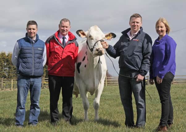 Announcing details of Holstein NI's open day on Saturday 30th April, are from left: John Berry, chairman Holstein NI; Alistair Sampson, Volac/Ecosyl, sponsor; and host farmers Ivor and Cecilia Broomfield, Moneyquin Herd, Armagh.
