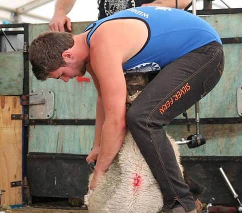 Ross Thomson shearing