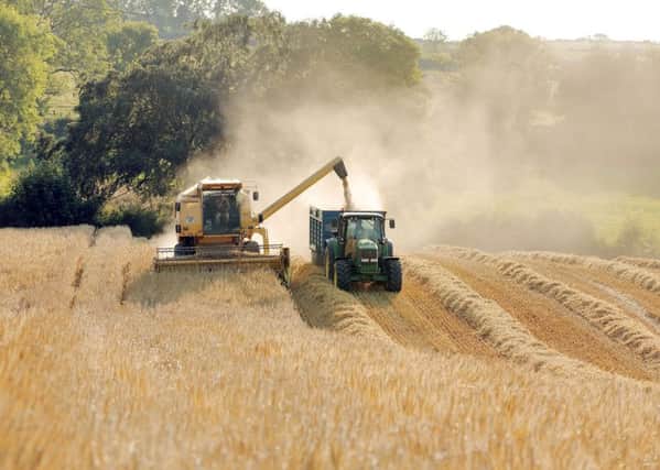 The winter barley harvest gets underway in ideal weather conditions at Barclay Bell's farm near Rathfriland. Picture: Cliff Donaldson