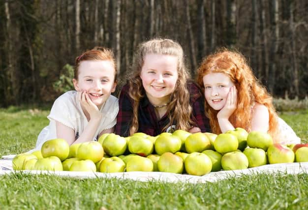 Kara Morgan, Lucy McGeary and Chloe O'Neill are ready for three days of festival fun at the inaugural Apple Blossom Festival across county Armagh during the May bank holiday weekend (April 30 Ã¢Â¬ May 2). For more information visit www.armagh.co.uk/appleblossom.