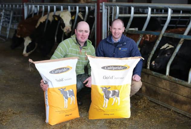 Cullyhanna milk and beef producer Sean Mackin, seen here with Stephen McKenna, right, of Gortavoy Feeds, uses the firms calf milk powder with Digest Vo added to help keep Crypto and Cocci at bay. Produced in France from natural plant extract Digest Vo does not require a prescription.