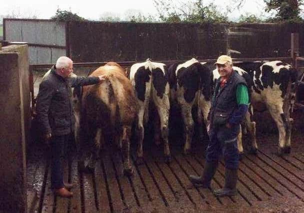 NI Limousin representative Jim Quail with William Morrow at his diary farm in Banbridge.