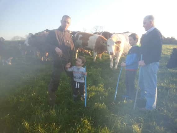 The Birt Family (L-R) Artie, sons Eamonn, Artie "g and father Arthur Birt Snr. out making final preparations ahead of the Greenmount Association Spring Farm Walk