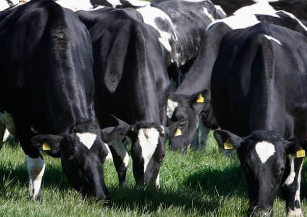 All 230 of Fane Valley's farmer milk suppliers will get supply contracts with Lakeland