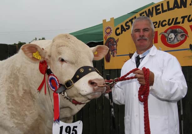 Sean Savage, Ballynahinch, exhibited Shanevalley Hustler, the male champion and supreme overall British Blonde champion.