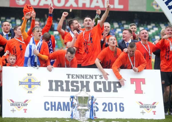 Glenavon celebrate after lifting the Tennent's Irish Cup