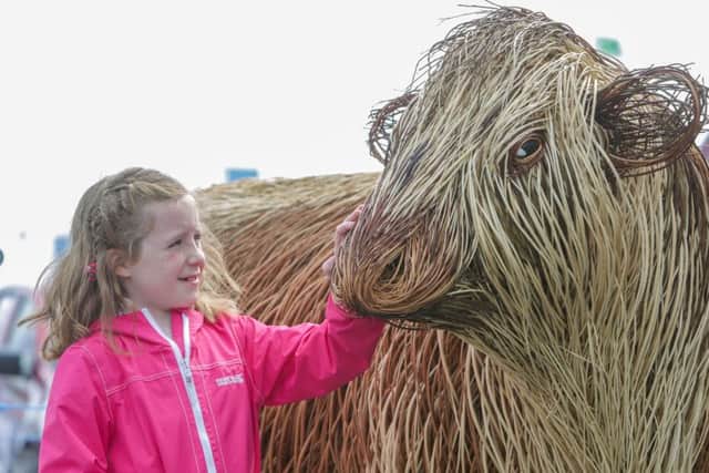 Seven-year-old Annie Spratt from Crossgar checks out the life-size Irish Moiled bull, the latest sculpture by the Ulster Folk & Transport Museum, at the Balmoral Show