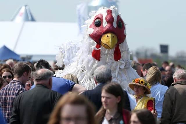 This outsize chicken puppet stood out among the huge crowds at the Maze site