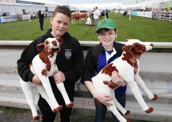 @Press Eye Ltd Northern Ireland- 11 th May     2016
Mandatory Credit -Brian Little/Presseye

Nathan Allison (left) from Richhill and David McTurk from Markethill , aged 13, enjoying their visit during the first day of the Balmoral Show.
Picture by Brian Little/Presseye