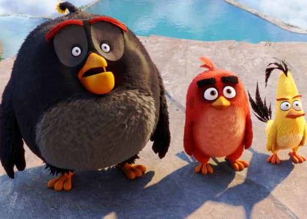 Scene from Angry Birds PA/Sony