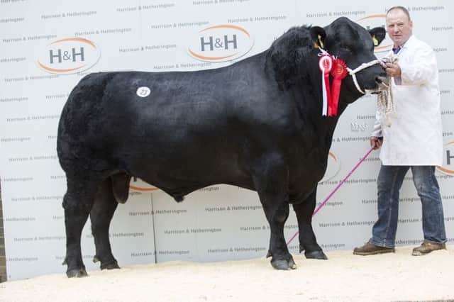 Leading trade at 8000gns in Carlisle was Alasdair Houstons male and overall champion, Gretnahouse KP P710, which sold in a two-way partnership to John Fleming, Stairhaven and Ian Watson, Kersquarter.