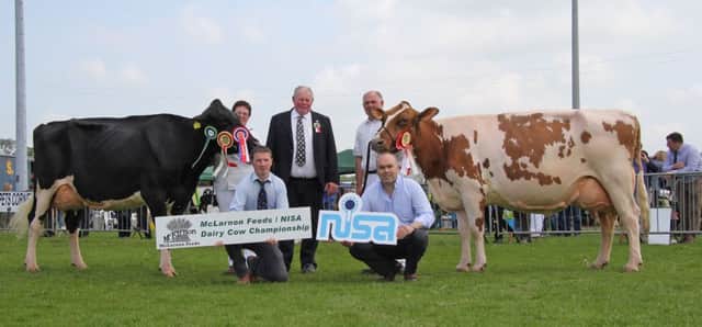 Iain and Joyce McLean, Bushmills, owned the Ballymena Show qualifiers for the McLarnon Feeds/NISA Dairy Cow Championship. Adding their congratulations are judge David Boyd, Glaslough; Philip Whyte, McLarnon Feeds; and Clarence Calderwood, NISA.