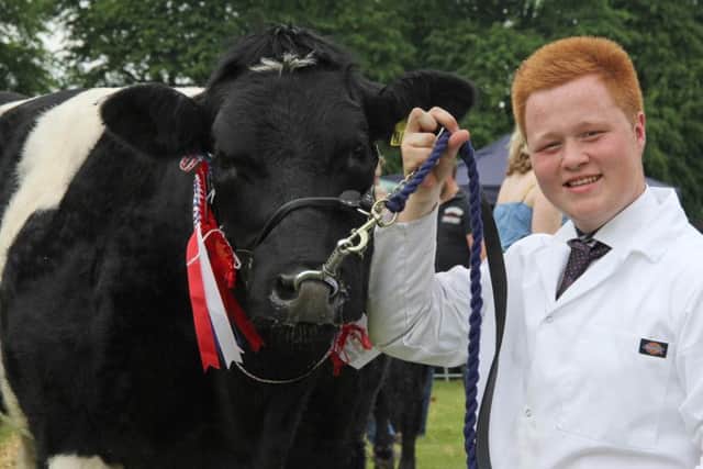 James Boyd exhibited the British Blue champion. He was also the winner of the senior beef young handler class at Lurgan Show. Picture: Julie Hazelton