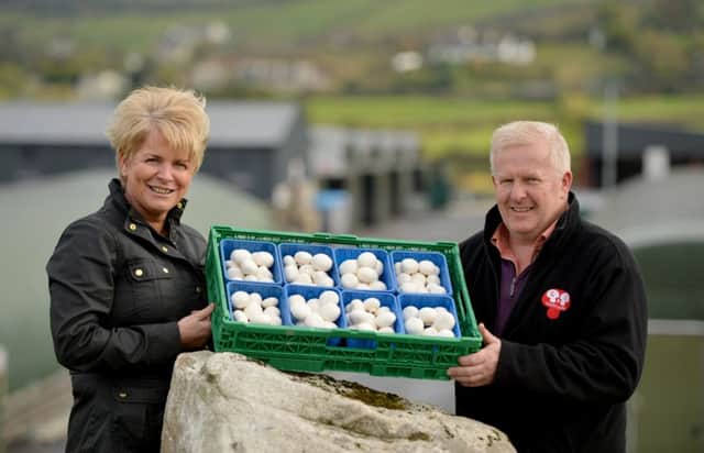 Gerard and Mary Fegan of C&L Mushrooms have been producing superior quality, local mushrooms at their farm since 1986