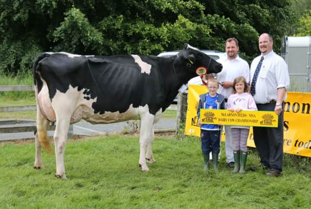 Second calver Glasson Denzel Flo VG89, owned and exhibited by Jason, Sophie and Alfie Pollock, Portadown, was the second qualifier at Armagh Show.  Looking on is Michael Copeland, McLarnon Feeds.