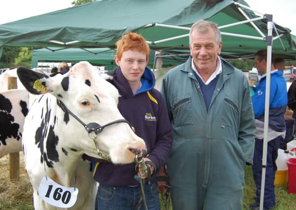 Stuart Dunlop and John Stewart from Banbridge get ready for the Holstein classes at Newry Show