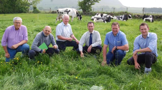 Enjoying their visit to the McCullough farm at Broughshane: Gianfranco Sartoretto, Italy; Mario Scovazzi, Italy; William McCullough (host); Philip Ingram, Provimi; Allister McCullough (host) and Ross Smyth, United Feeds