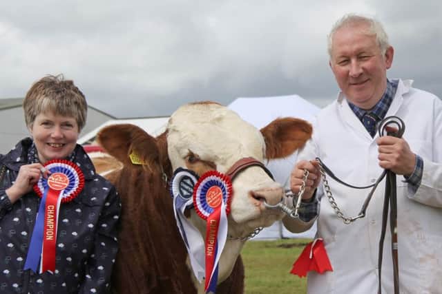 A delighted Robert and Lorna Forde from Tempo, with their supreme Simmental champion and inter-breed beef champion Mullyknock Gallant ET