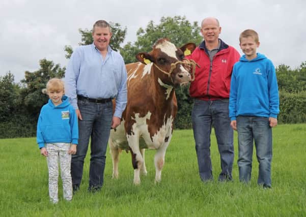 Looking forward to the Ulster Ayrshire Cattle Club's annual stockjudging competition are vice chairman Stewart Baxter, with hosts John, Thomas and Claire Suffern from Crumlin. Picture: Julie Hazelton
