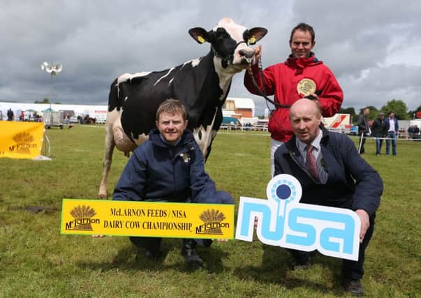 George and Jason Booth, Stewartstown claimed the second qualifying place at Omagh Show with Lisnagore Goldmine Ashleen.  Pictured congratulating Jason Booth are David Mawhinney (McLarnon Feeds) and Robert Dick (NISA Chairman).