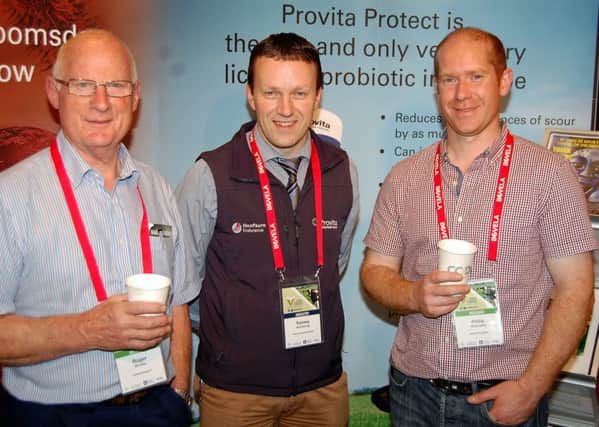 Chatting at the World Buiatrics Congress: Roger Blowey, veterinary consultant; Tommy Armstrong, Provita and Philip Abernethy, Parklands' Veterinary Group