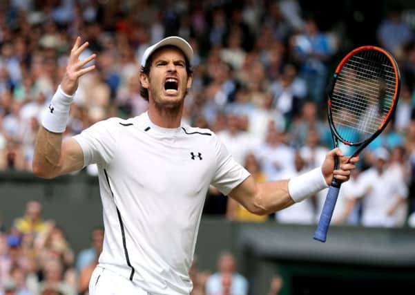 Andy Murray celebrates his win