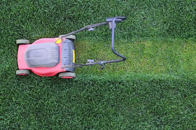 This time of year is perfect for jobs like mowing your lawn